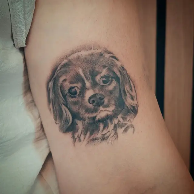 Tattoo door Tattoo Bast-et